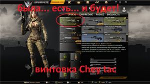 Сколько денег вложил игрок варфейса